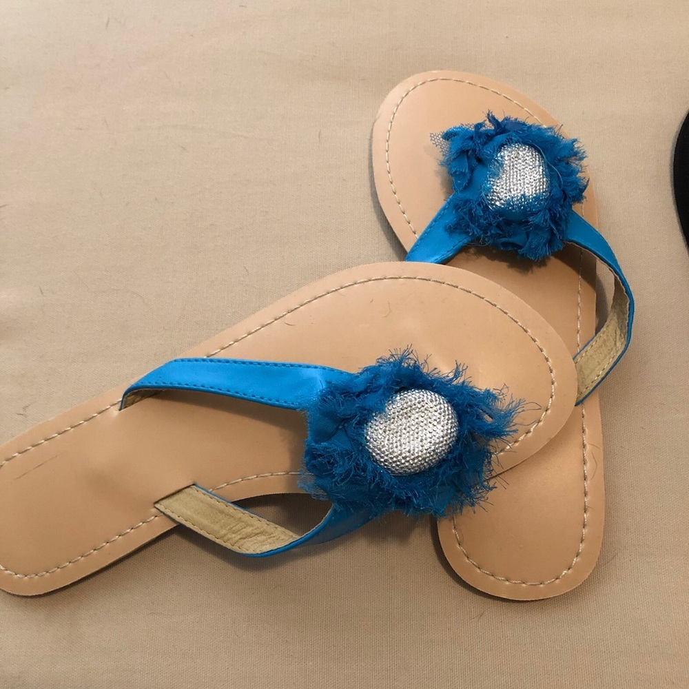 Blue Flip Flops